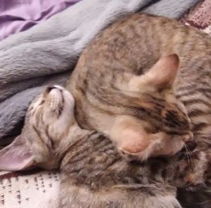 Meet your Posher, Margaret